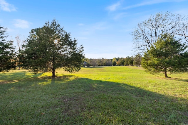 view of yard featuring a rural view