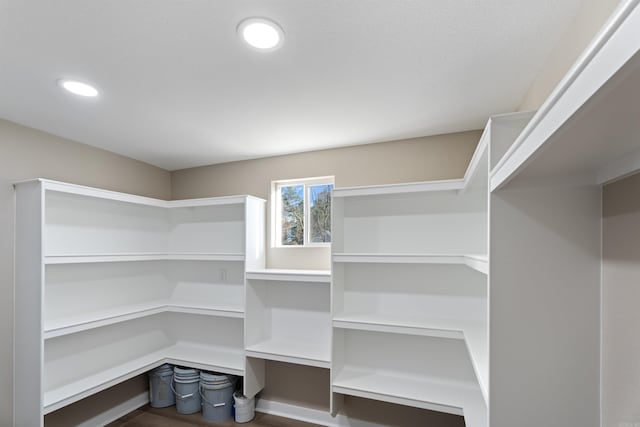 spacious closet featuring hardwood / wood-style flooring