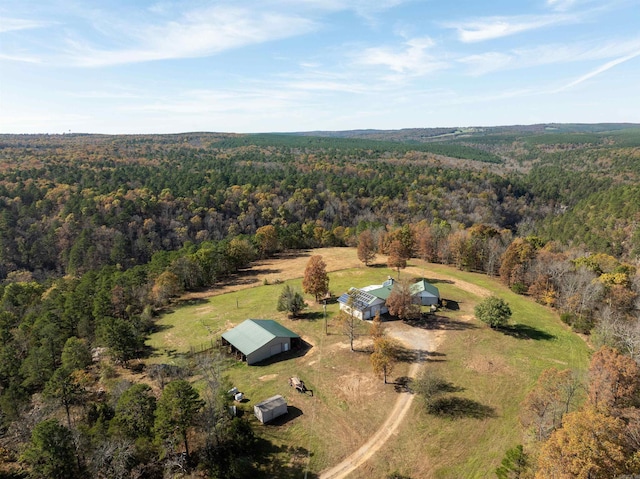 bird's eye view