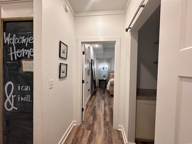 corridor featuring dark hardwood / wood-style flooring