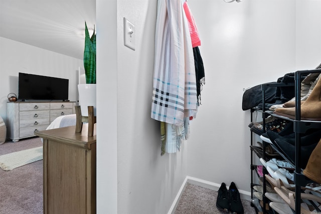 spacious closet featuring carpet flooring