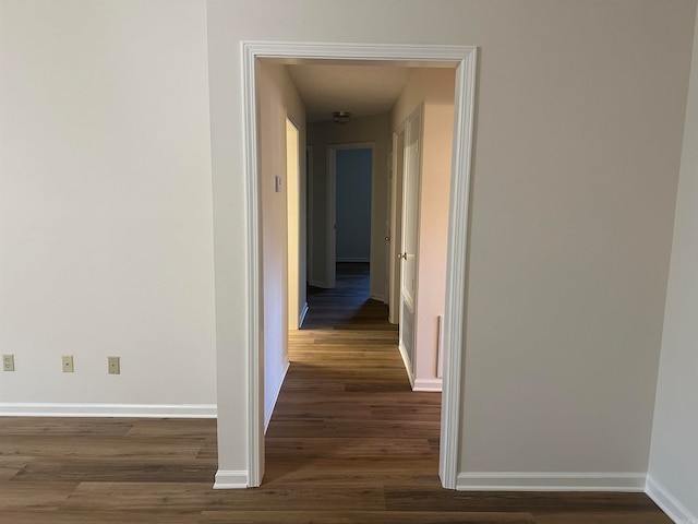 hall featuring dark wood-type flooring