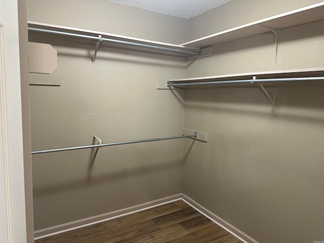 spacious closet featuring dark hardwood / wood-style floors