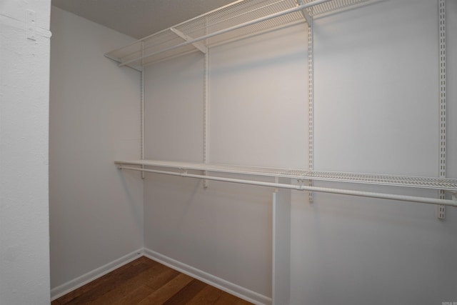 spacious closet with dark wood-type flooring