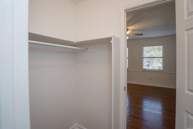 spacious closet with ceiling fan and dark hardwood / wood-style flooring