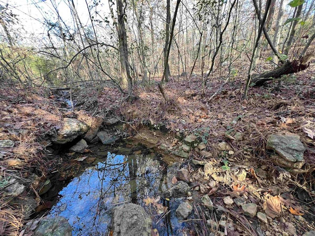 view of local wilderness