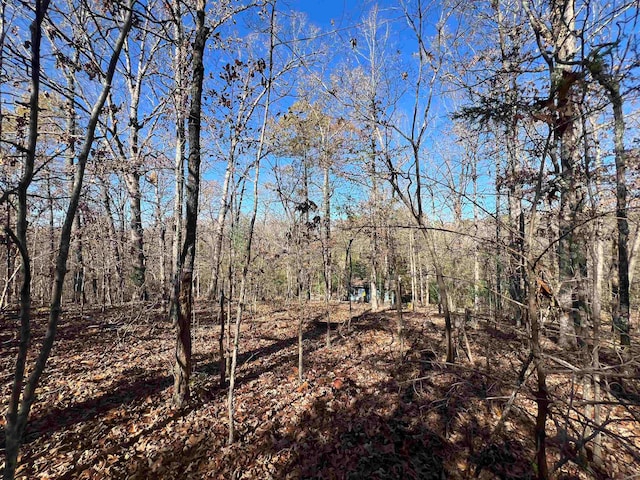 view of local wilderness