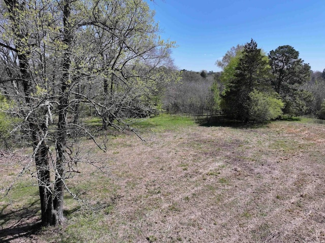 Listing photo 3 for xxx Bean, Glenwood AR 71943