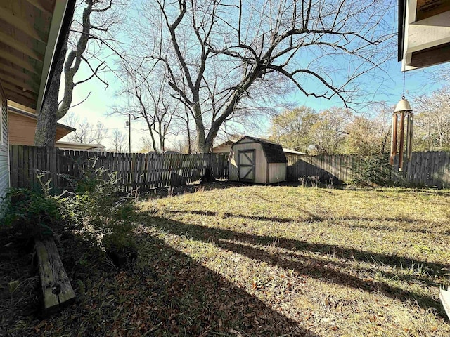 view of yard featuring a storage unit