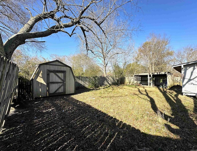 view of yard featuring a shed