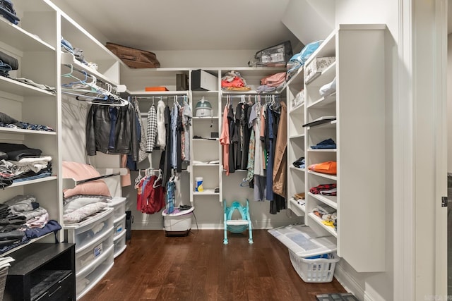 walk in closet with dark hardwood / wood-style flooring