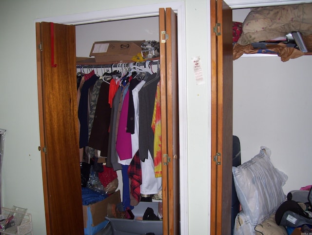 view of closet