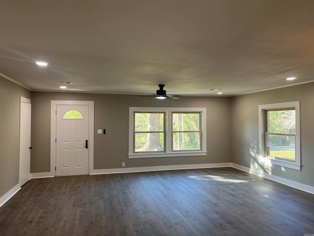 foyer entrance featuring ornamental molding, ceiling fan, and dark wood-type flooring