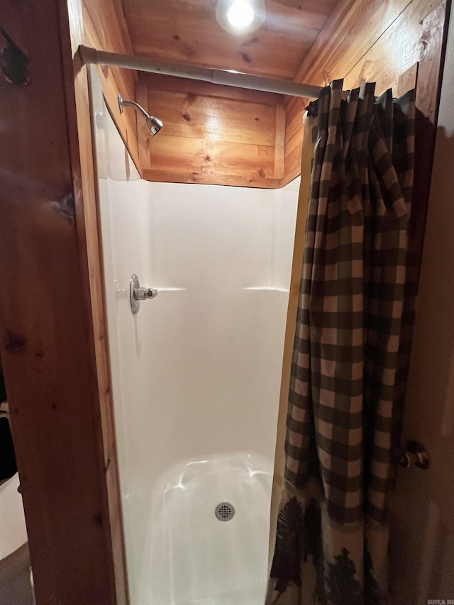1217 Lovell Ln, Mountain View, AR 72560 - bathroom with a stall shower
