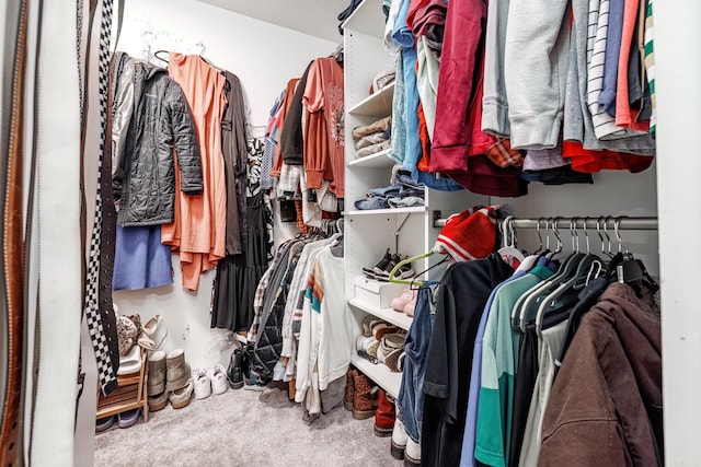 walk in closet featuring carpet floors