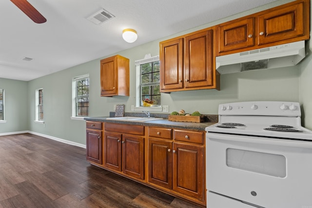 kitchen with electric stove, ceiling fan, sink, and dark wood-type flooring