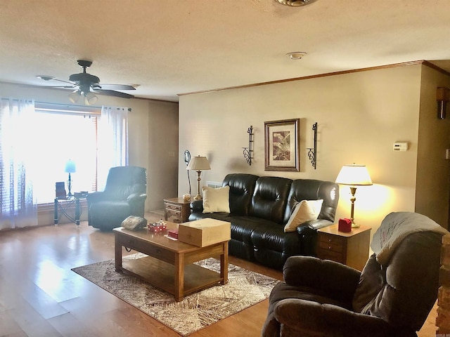 living room featuring hardwood / wood-style floors, a textured ceiling, ceiling fan, and ornamental molding