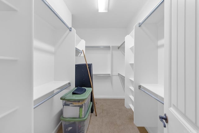 walk in closet with light carpet