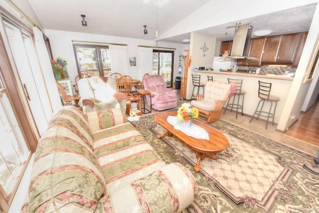 living room with hardwood / wood-style floors, a healthy amount of sunlight, and lofted ceiling