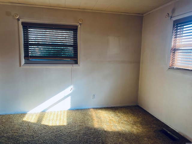 carpeted spare room featuring ornamental molding