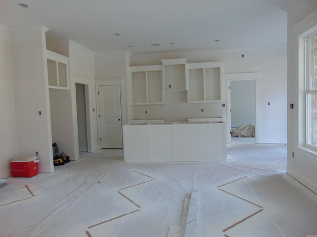 kitchen featuring crown molding and plenty of natural light