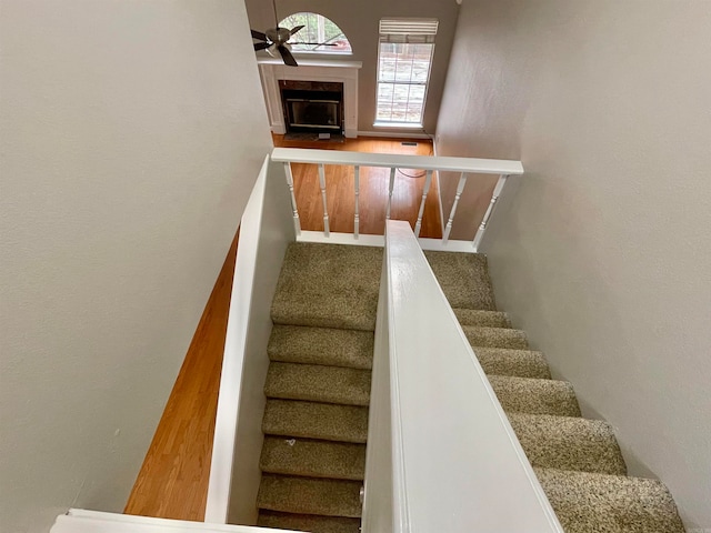 stairs featuring ceiling fan and hardwood / wood-style flooring