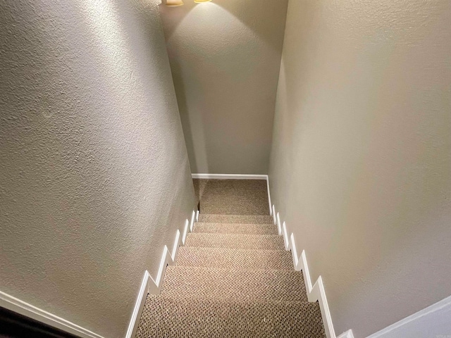 stairs featuring carpet floors