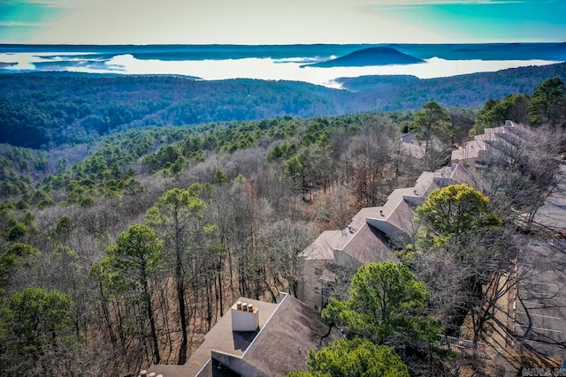 bird's eye view with a mountain view