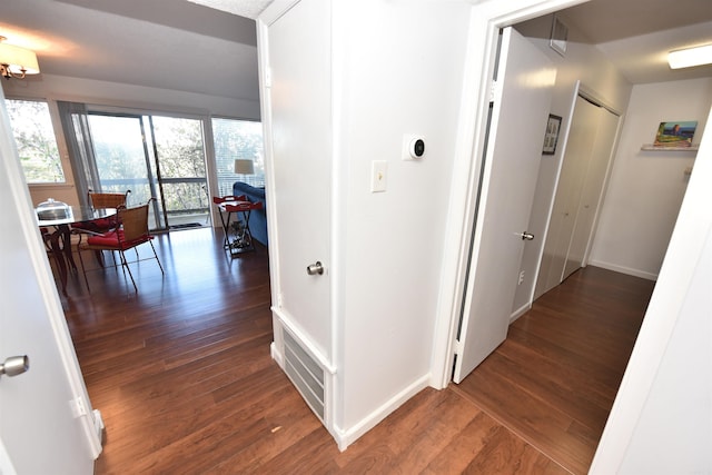 hallway with dark wood-type flooring