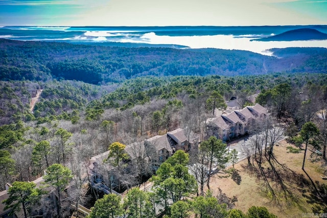 property view of mountains with a water view