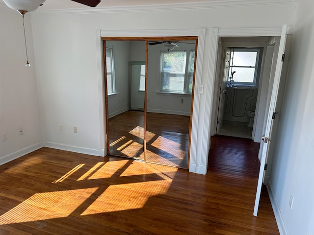 unfurnished room featuring crown molding, ceiling fan, and dark wood-type flooring