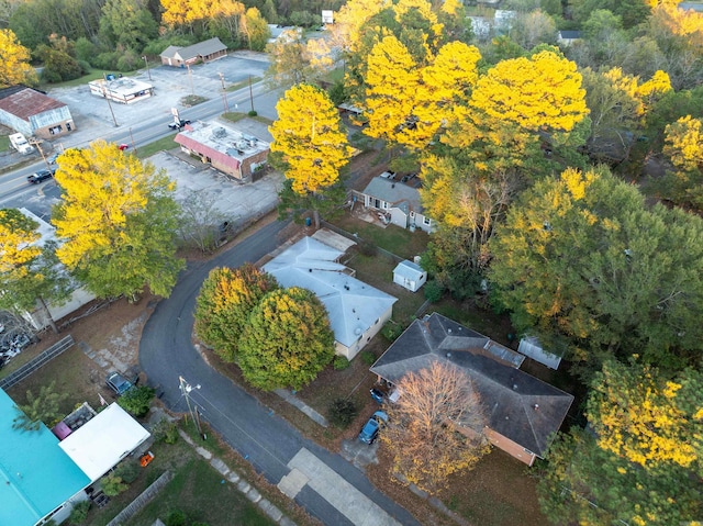 aerial view