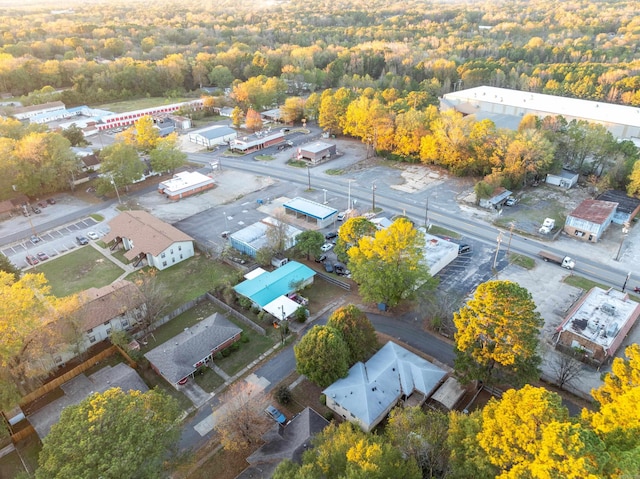 bird's eye view