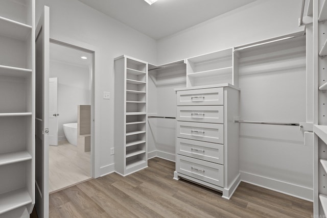 walk in closet featuring hardwood / wood-style flooring