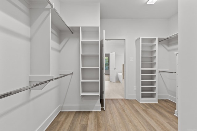 spacious closet with light wood-type flooring