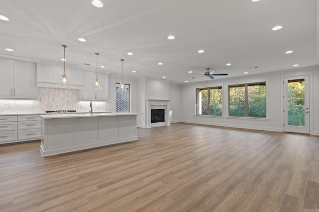 unfurnished living room featuring ceiling fan, sink, and light hardwood / wood-style flooring