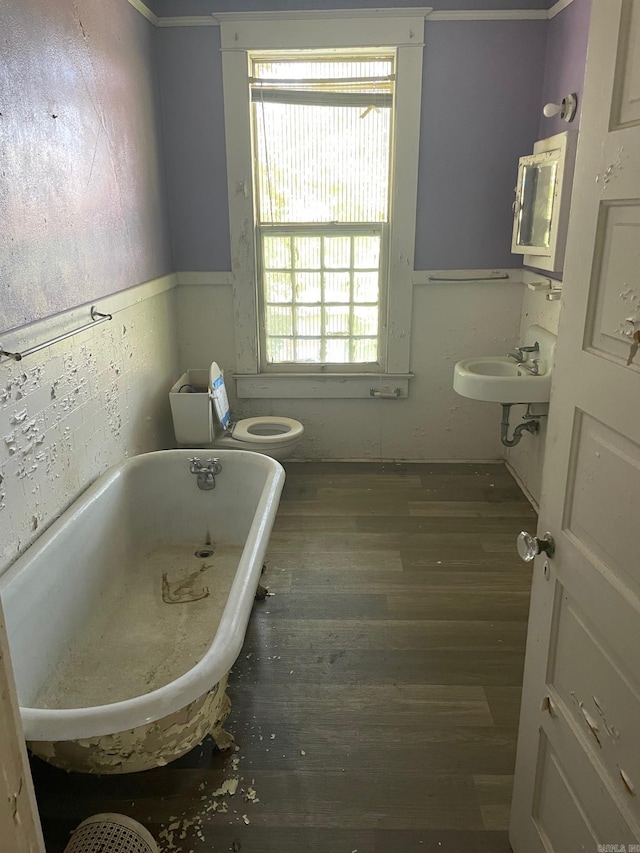 bathroom with wood-type flooring, toilet, a tub, and sink