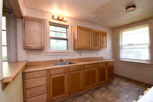 kitchen featuring butcher block countertops and sink