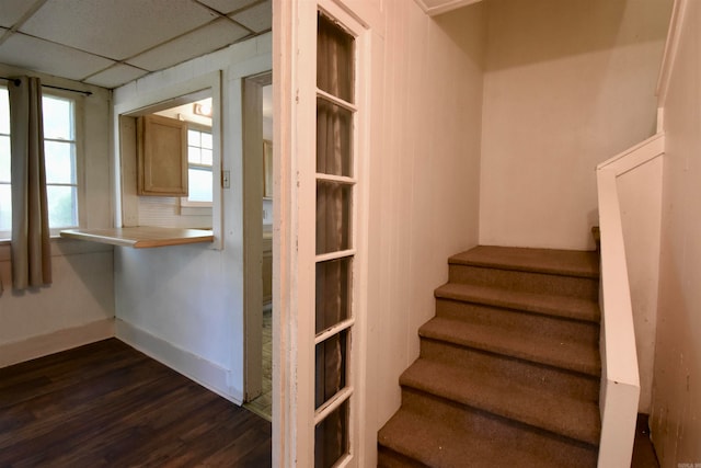 staircase featuring a drop ceiling and hardwood / wood-style floors