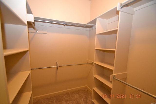 spacious closet with carpet