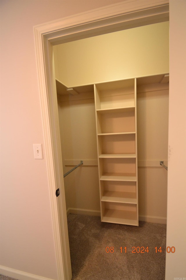 spacious closet featuring dark colored carpet