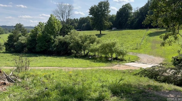 view of yard featuring a rural view