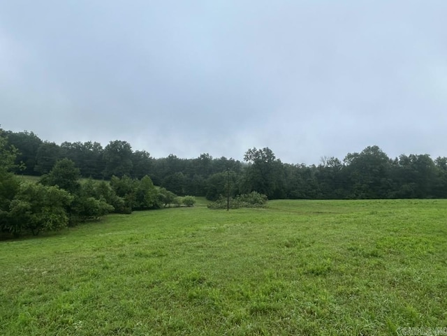 view of yard with a rural view