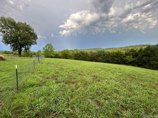 view of yard with a rural view