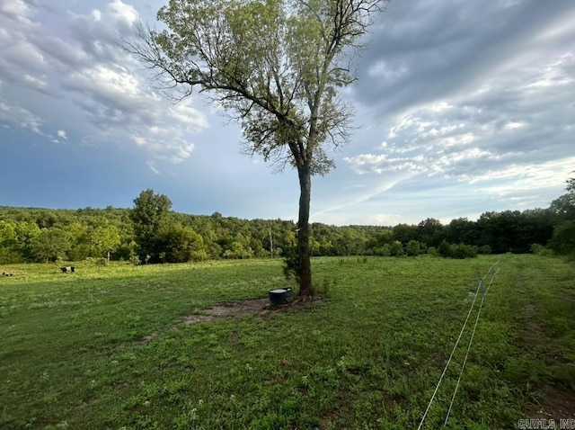 view of yard with a rural view