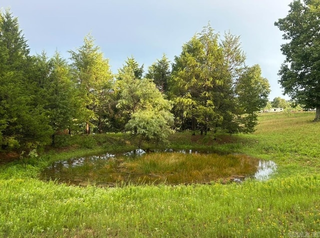 view of local wilderness featuring a water view