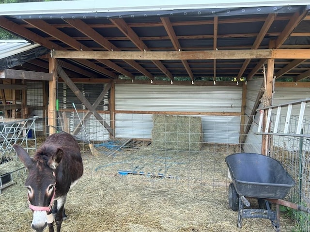 view of horse barn