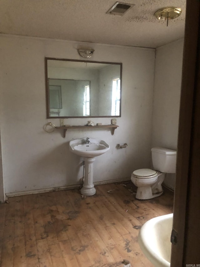 bathroom with sink, toilet, wood-type flooring, and a textured ceiling