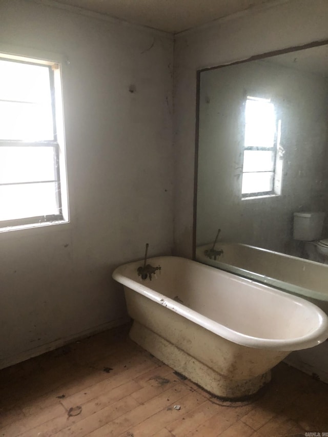 bathroom featuring toilet, plenty of natural light, hardwood / wood-style floors, and a washtub