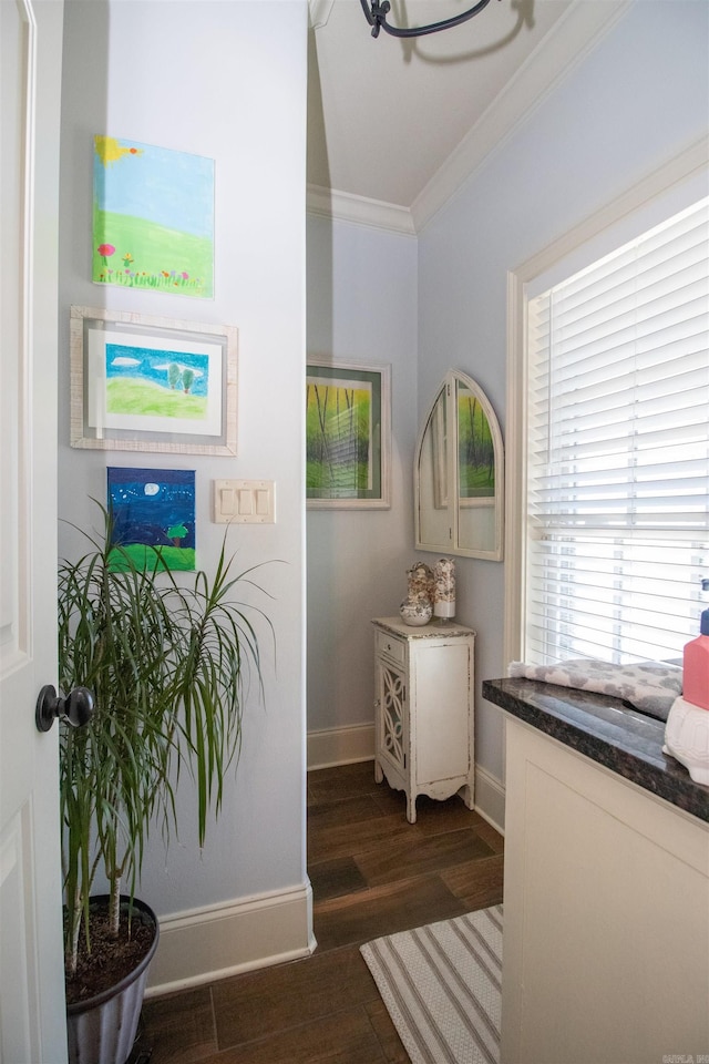 interior space with crown molding and dark hardwood / wood-style flooring